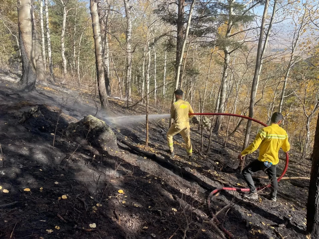 Sarıkamış'ta orman yangını: 2 hektar alan zarar gördü