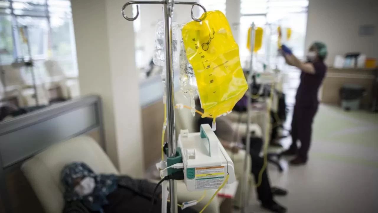 Ormandan topladılar! Yedikleri mantar hastanelik etti