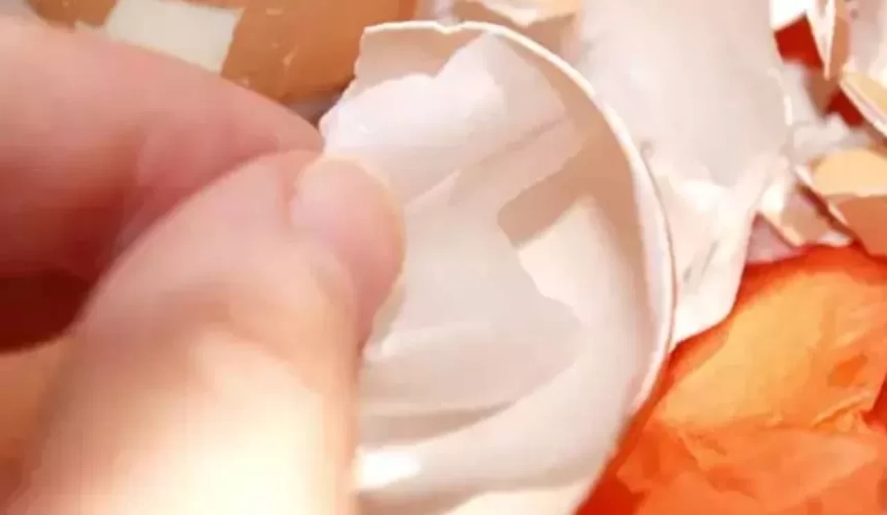 Yumurta kabuğu zarı ile eklem ağrılarına doğal destek