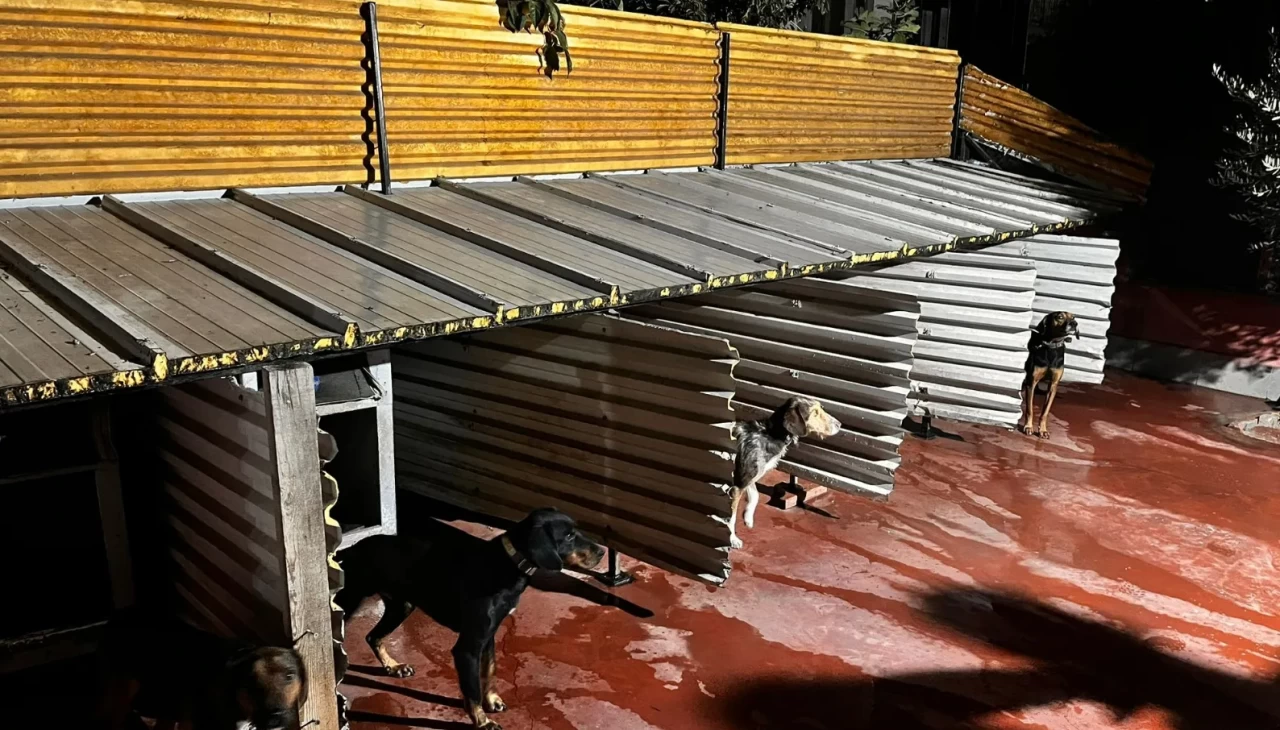 Tepkiye neden olan görüntüler sonrası emniyet harekete geçti