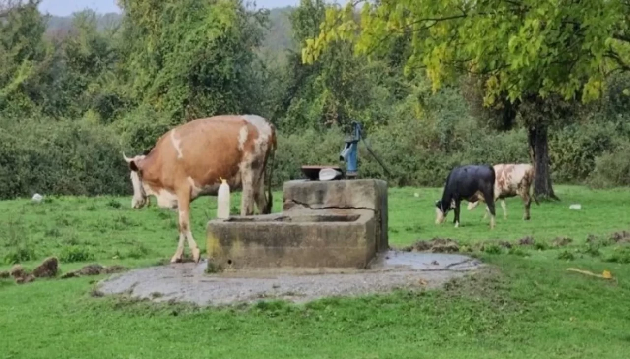 Zonguldak’ta su kuyusunda genç kadının cesedi bulundu