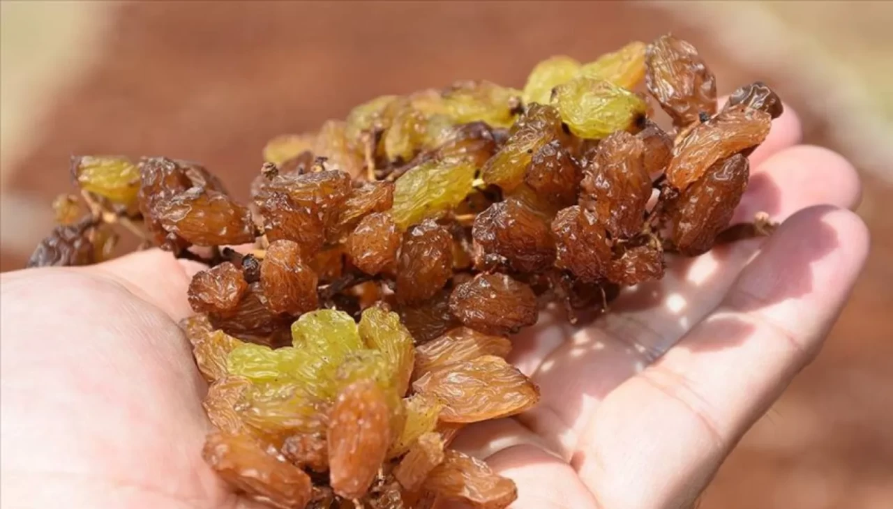 Sabahları aç karnına kuru üzüm tüketin! Faydasını öğrenen yemeden duramıyor
