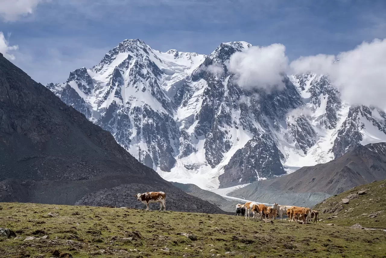 Tanrı Dağı Nerede? Efsanelerle Gerçeğin Buluştuğu Zirve