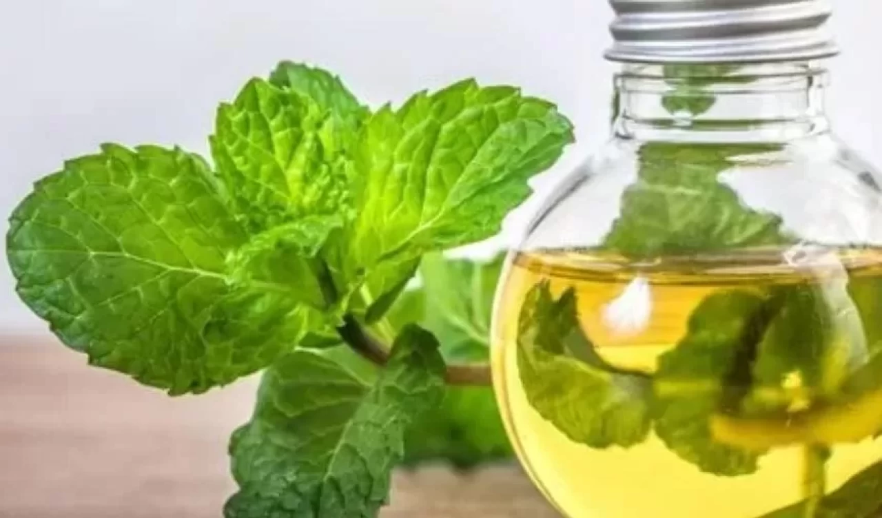 Nane yağı ne işe yarar?