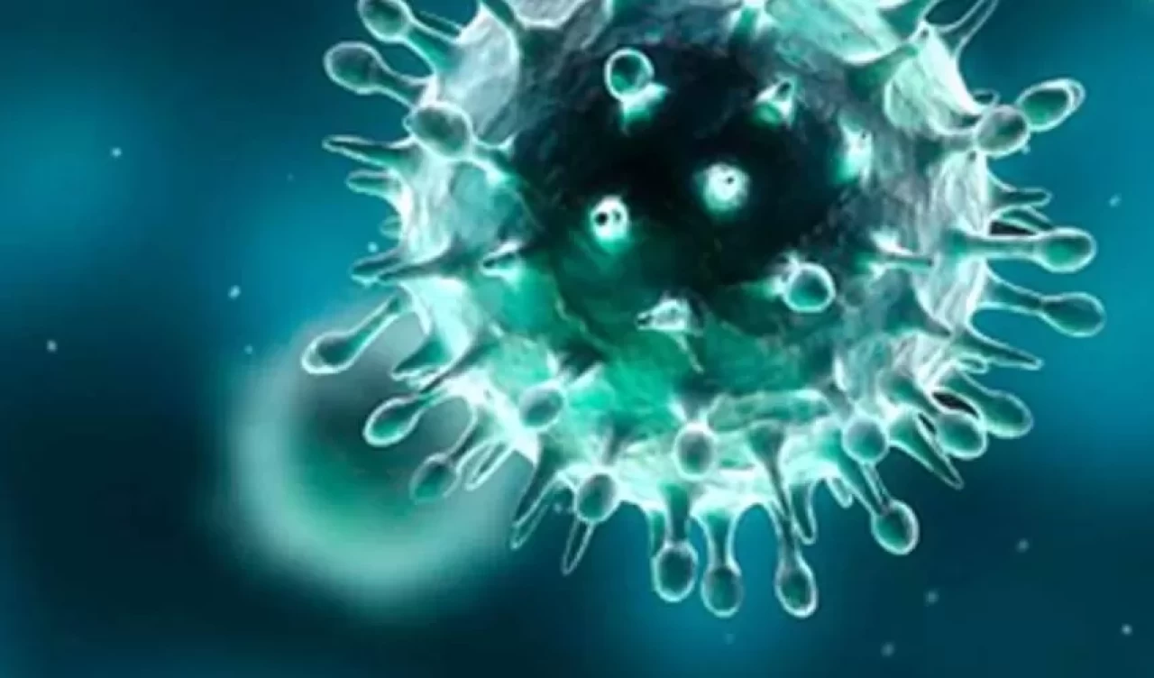 Bağışıklık sistemini destekleyen en etkili meyve! Vücuttaki iltihabı da azaltıyor