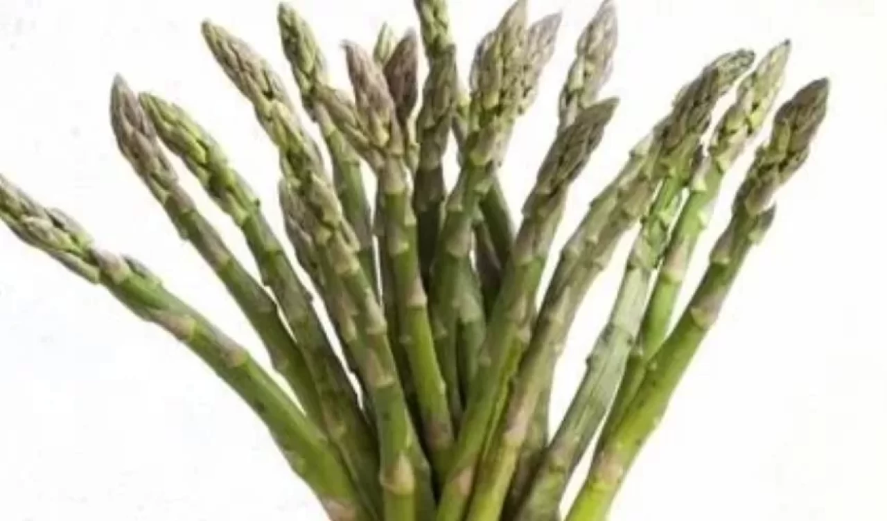 Taze kuşkonmazı her zaman diri tutmanın sırları