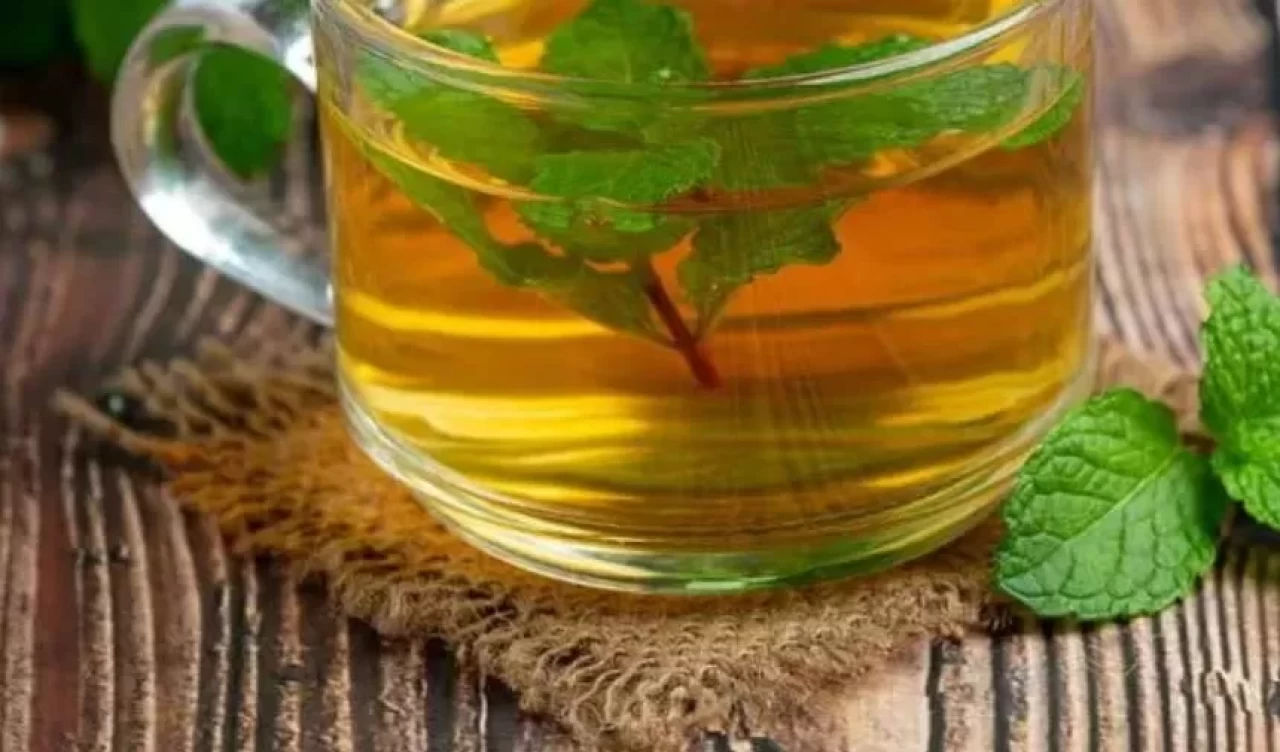 Bu çayı içenler gün boyu tok kalıyor! İşte Güney Amerika’nın zayıflama sırrı