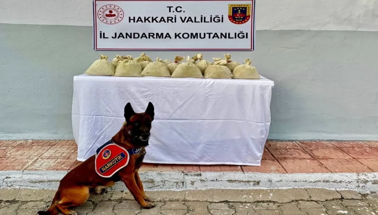 Hakkari’de 15 kilogram yasaklı madde ele geçirildi