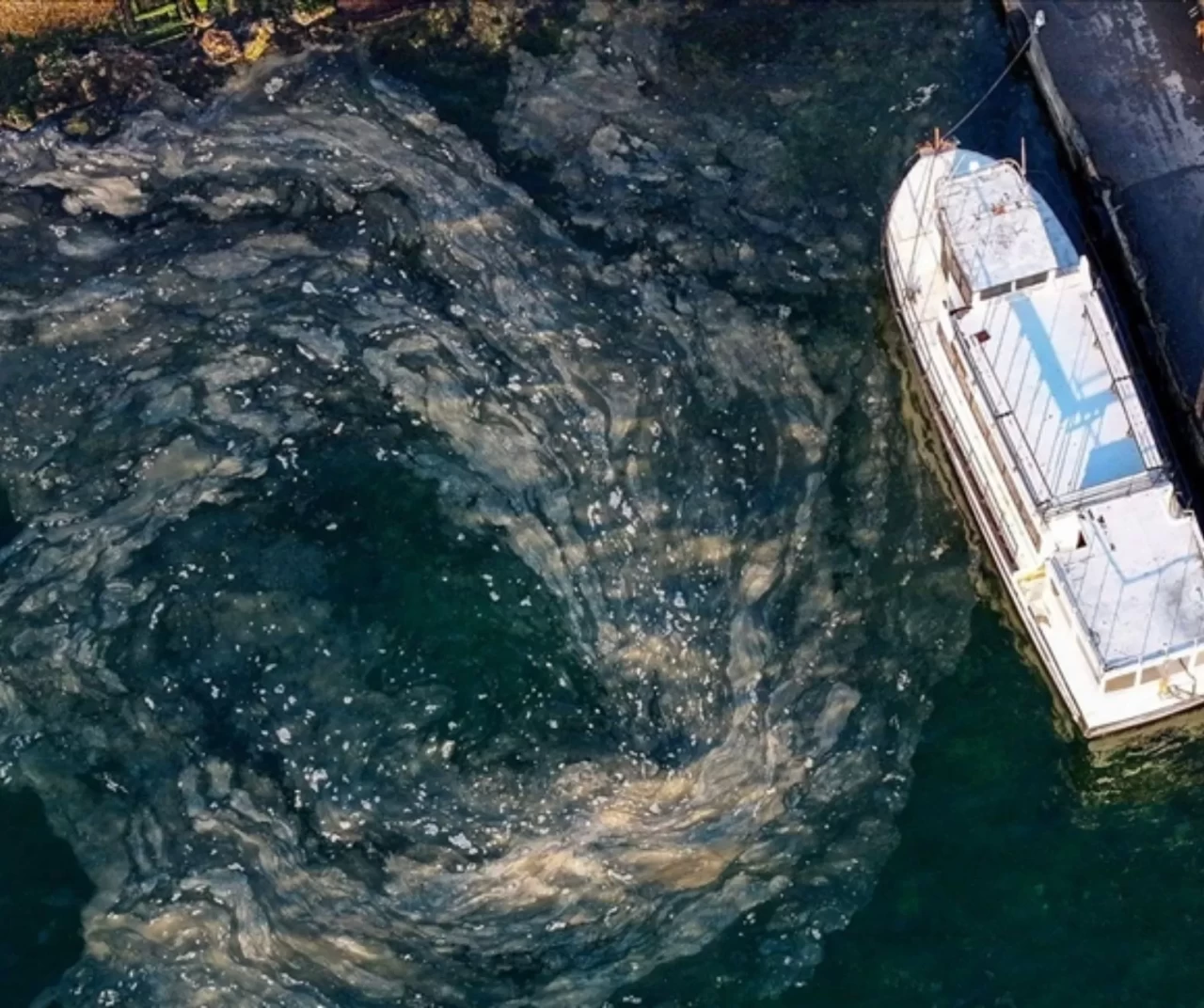 Marmara Sivriada’da müsilaj tehdidi artıyor: Deniz dibi habitatında kontrol yapıldı