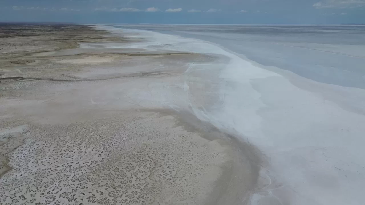 Tuz Gölü'nde yaşanan kuraklık biyolojik çeşitliliği de etkiliyor