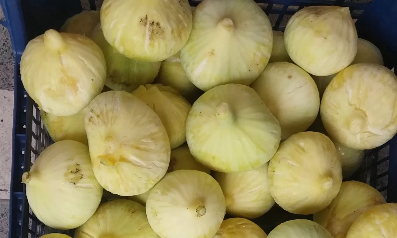 Mersin'de incir sezonu sona erdi, üreticisinin yüzü güldü