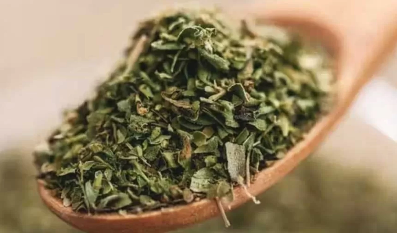 Bu bitki gerçek bir antibiyotik! Mutfaktaki gizli şifa kaynağı ortaya çıktı