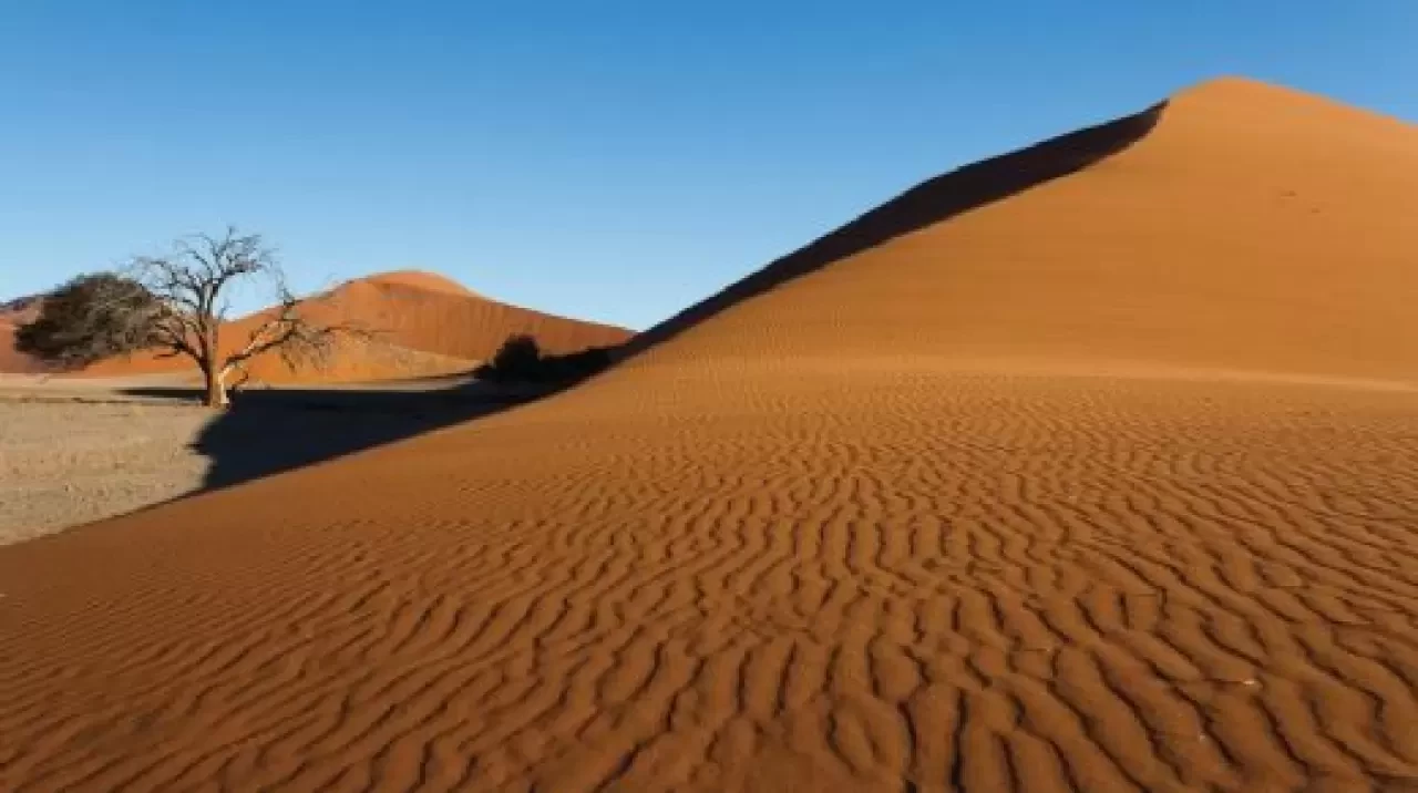 Sina Çölü Nerede? Tarih, İnanç ve Doğanın Kesiştiği Kadim Coğrafya