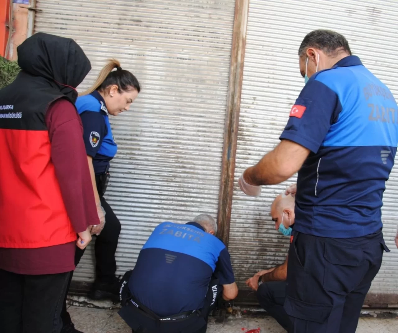 Şanlıurfa’da 1 ton bozulmuş et ele geçirildi