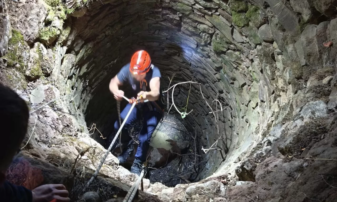 Siirt'te su kuyusuna düşen inek kurtarıldı