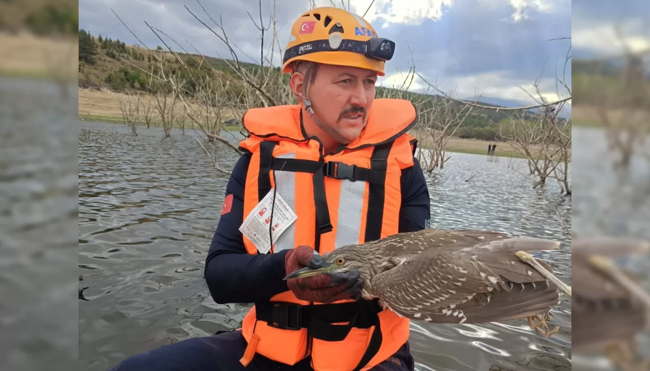 Bursa'da gölette mahsur kalan yabani kuş kurtarıldı