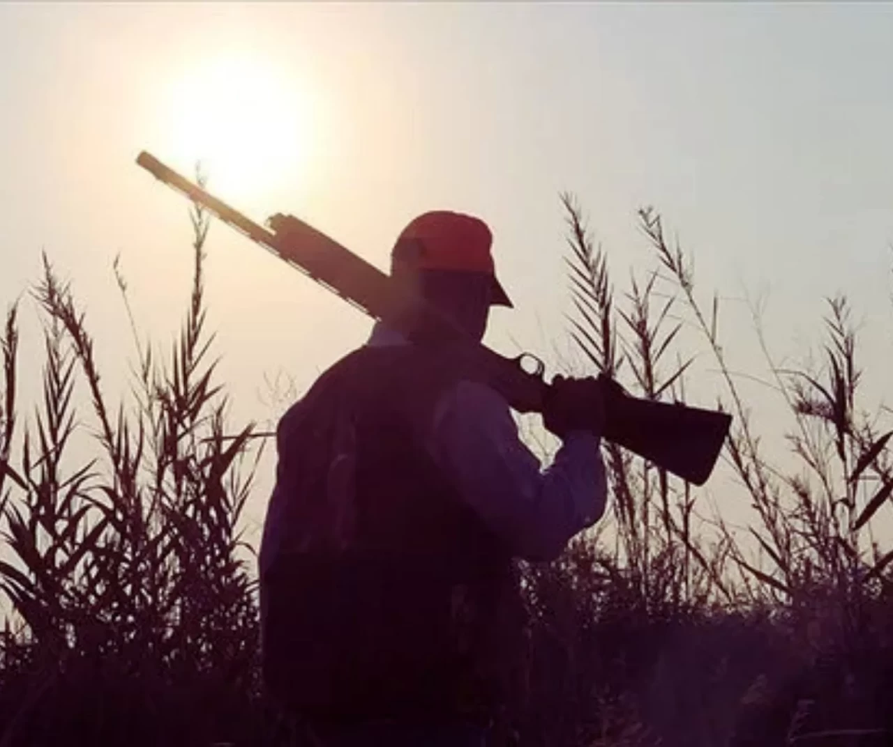 Antalya’da dehşet: Domuz avında yanlışlıkla babasını öldürdü