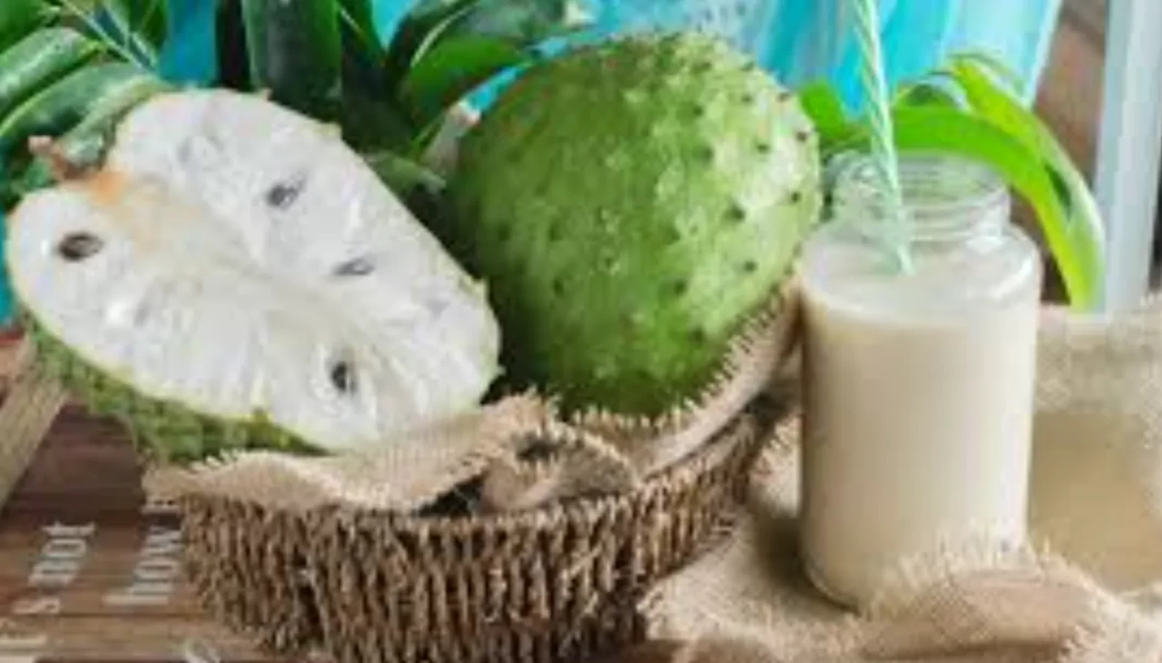 Bağışıklık sisteminizi zırh gibi koruyan meyve! Tarçın elmasının şaşırtıcı faydaları