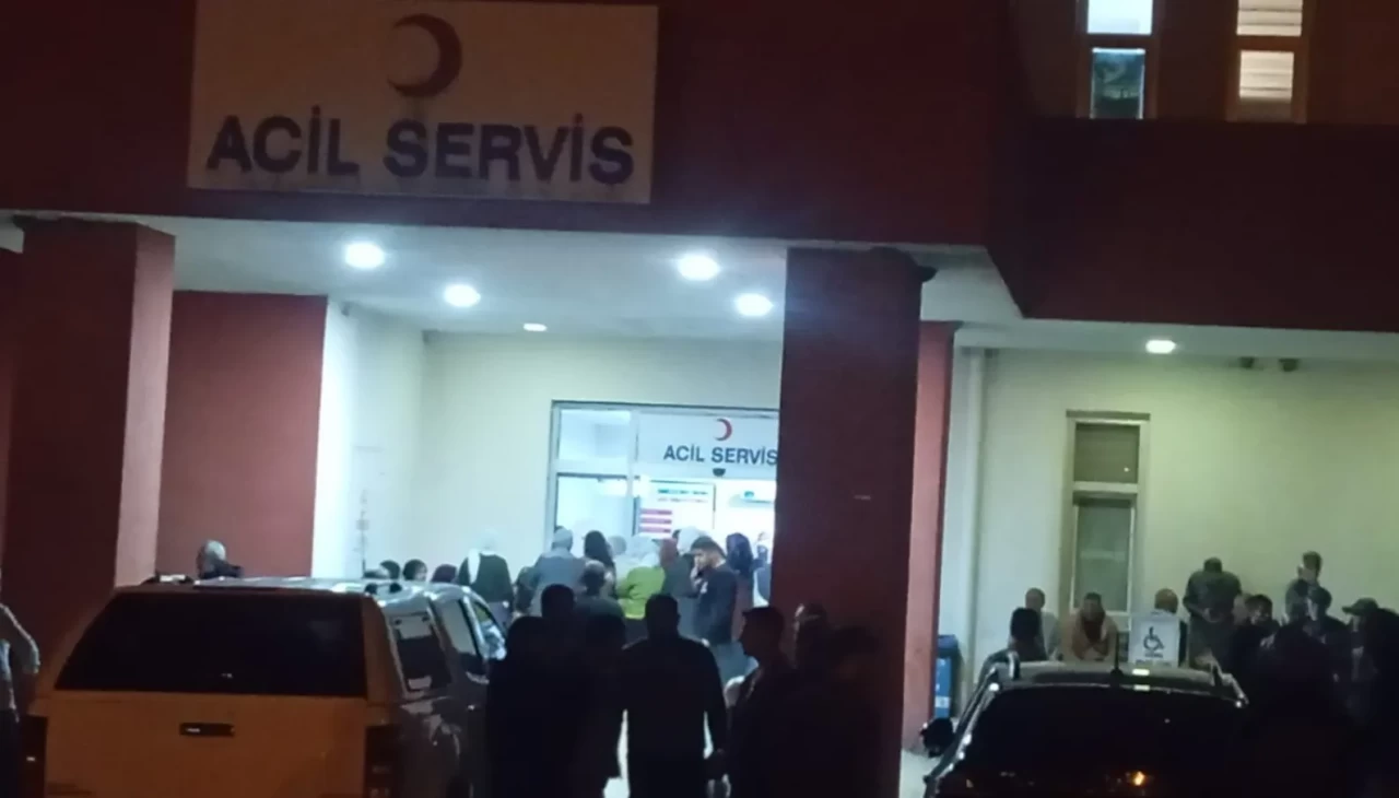 Eşeğin yularına takılan küçük çocuk hayatını kaybetti