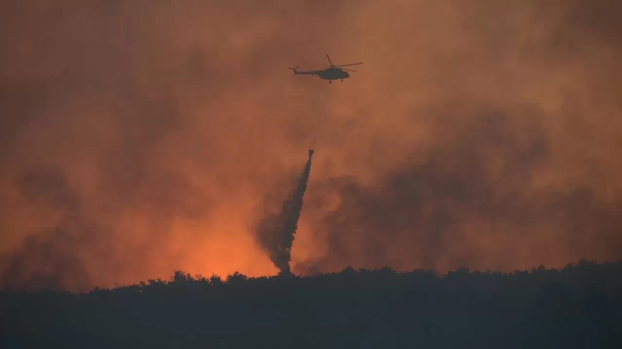 Bu yıl 6 bin 800 orman yangını çıktı: 80 bin hektar alan zarar gördü