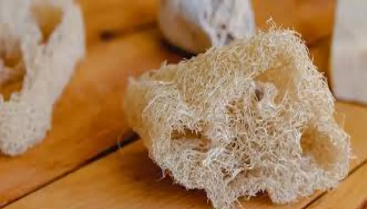 Bulaşık süngerini çöpe attırıcak kabak lifi! Nedeni şaşırtıyor