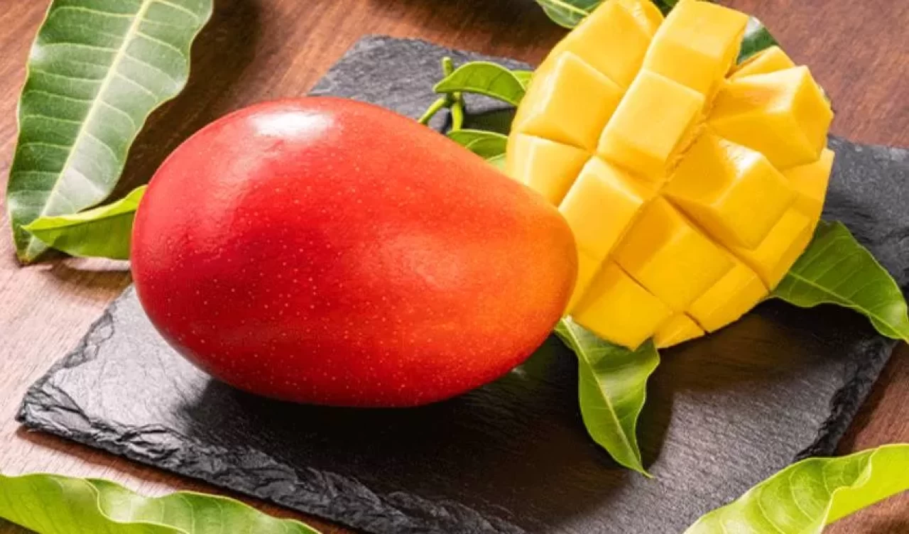 Meyvelerin kralı mango! Herkes yiyor ama bu gerçeği kimse bilmiyor