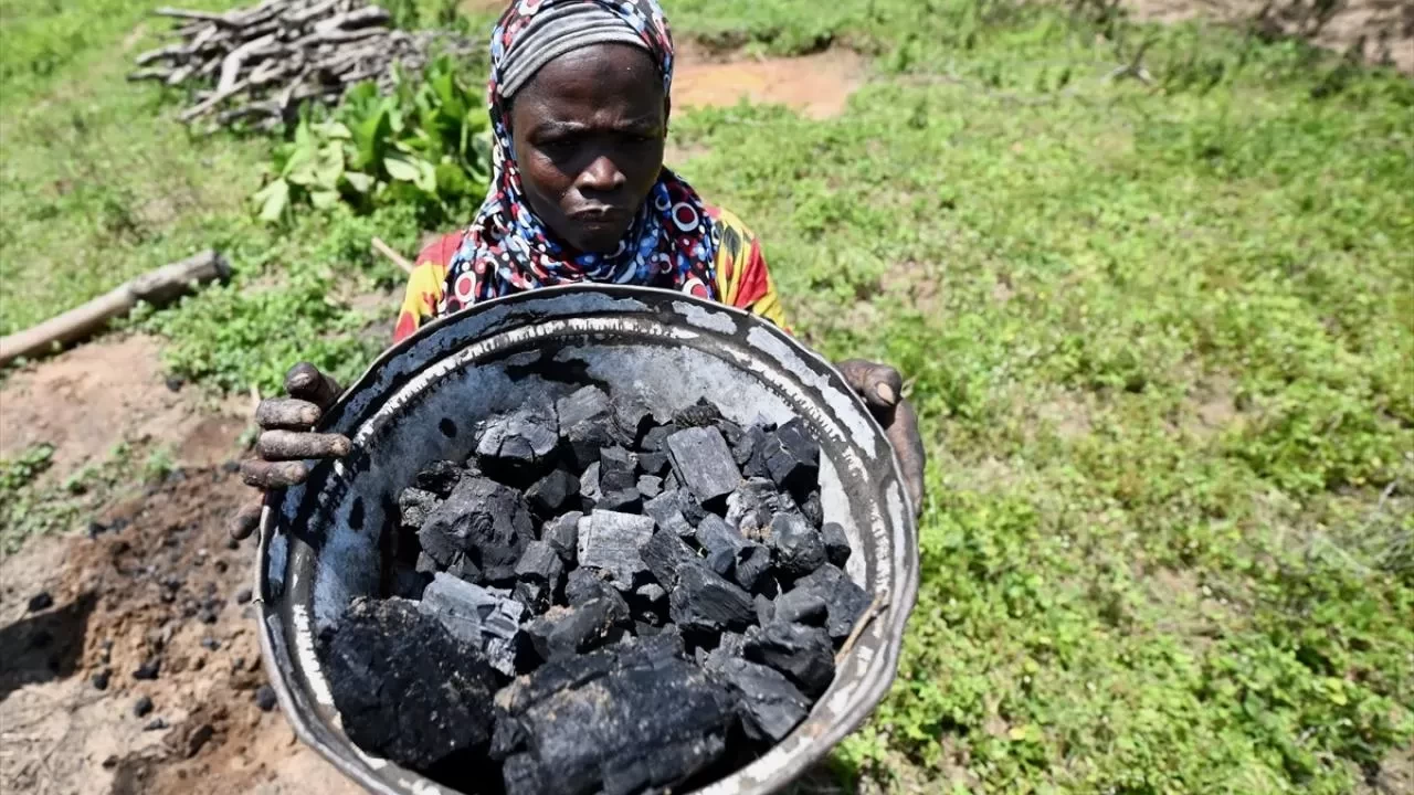 Küresel kömür kullanımı 2024’te rekor kırdı