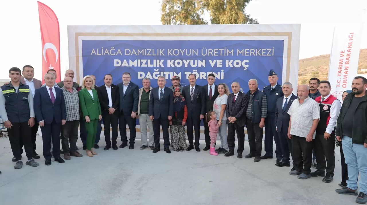 Aliağa Damızlık Koyun Üretim Merkezi’nde ikinci etap dağıtım tamamlandı