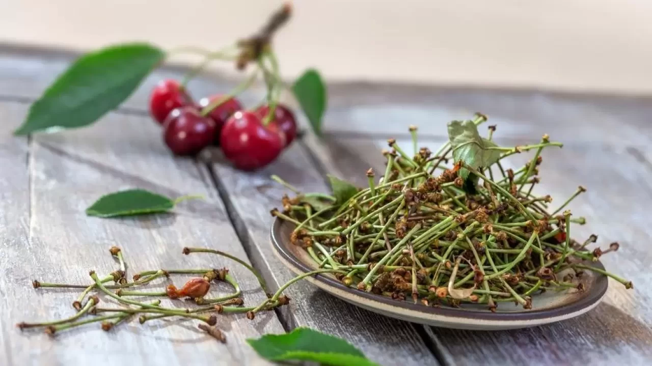 Evde kiraz sapı çayı nasıl yapılır? Kiraz sapı çayının faydaları ve tarifi