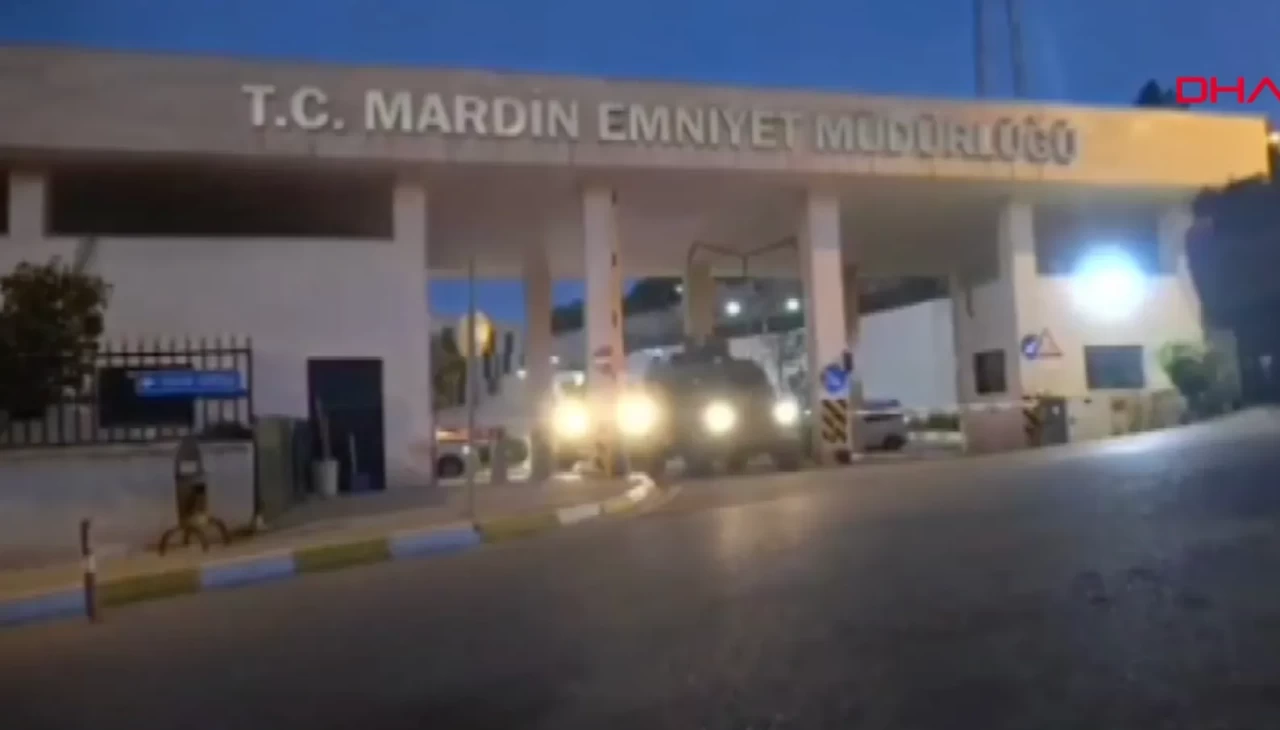 Mardin’de silah kaçakçılığı operasyonu: 1 kişi tutuklandı