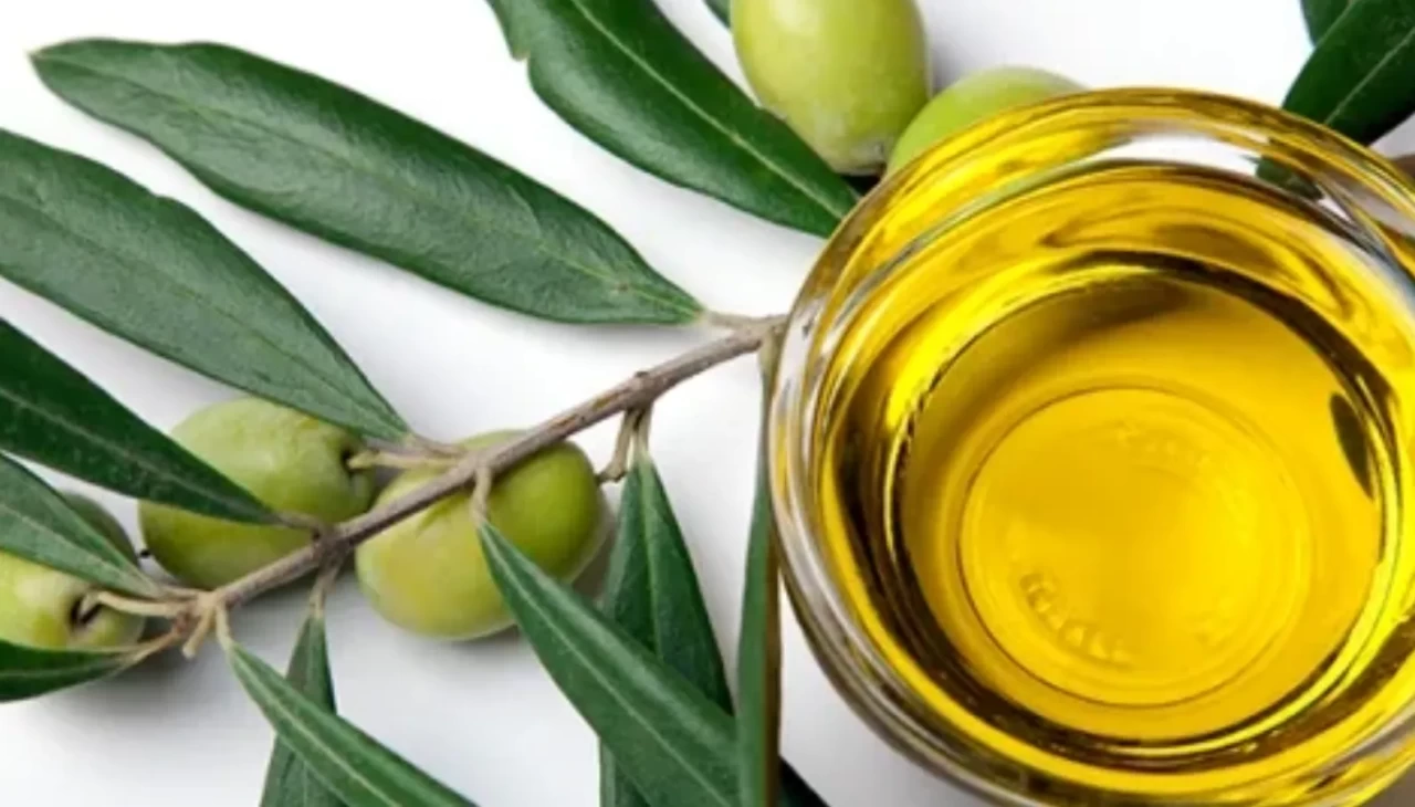 Zeytin yaprağı kendısinden daha faydalıymıs! O hastalığa çare oluyor