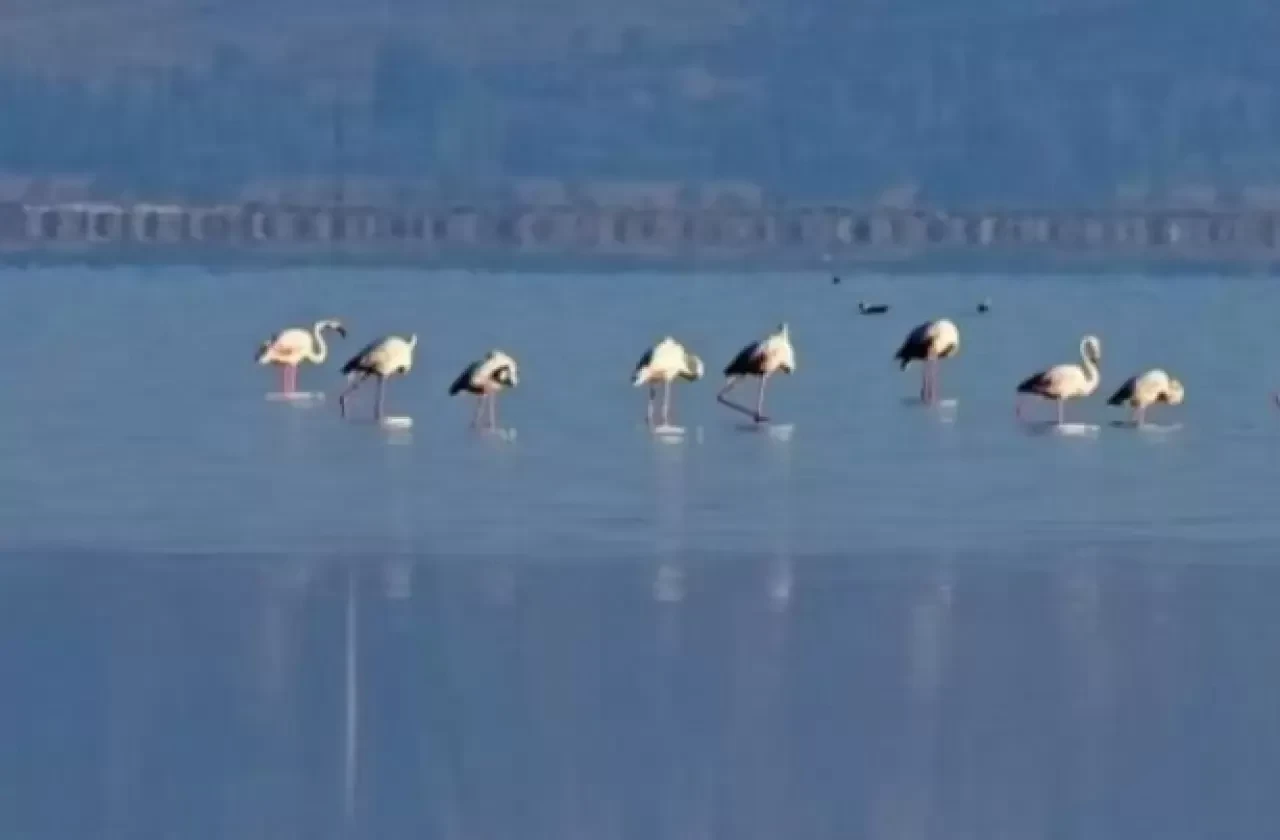 Acıgöl Nerede? Hangi Şehirde ve Hangi Ülkede?