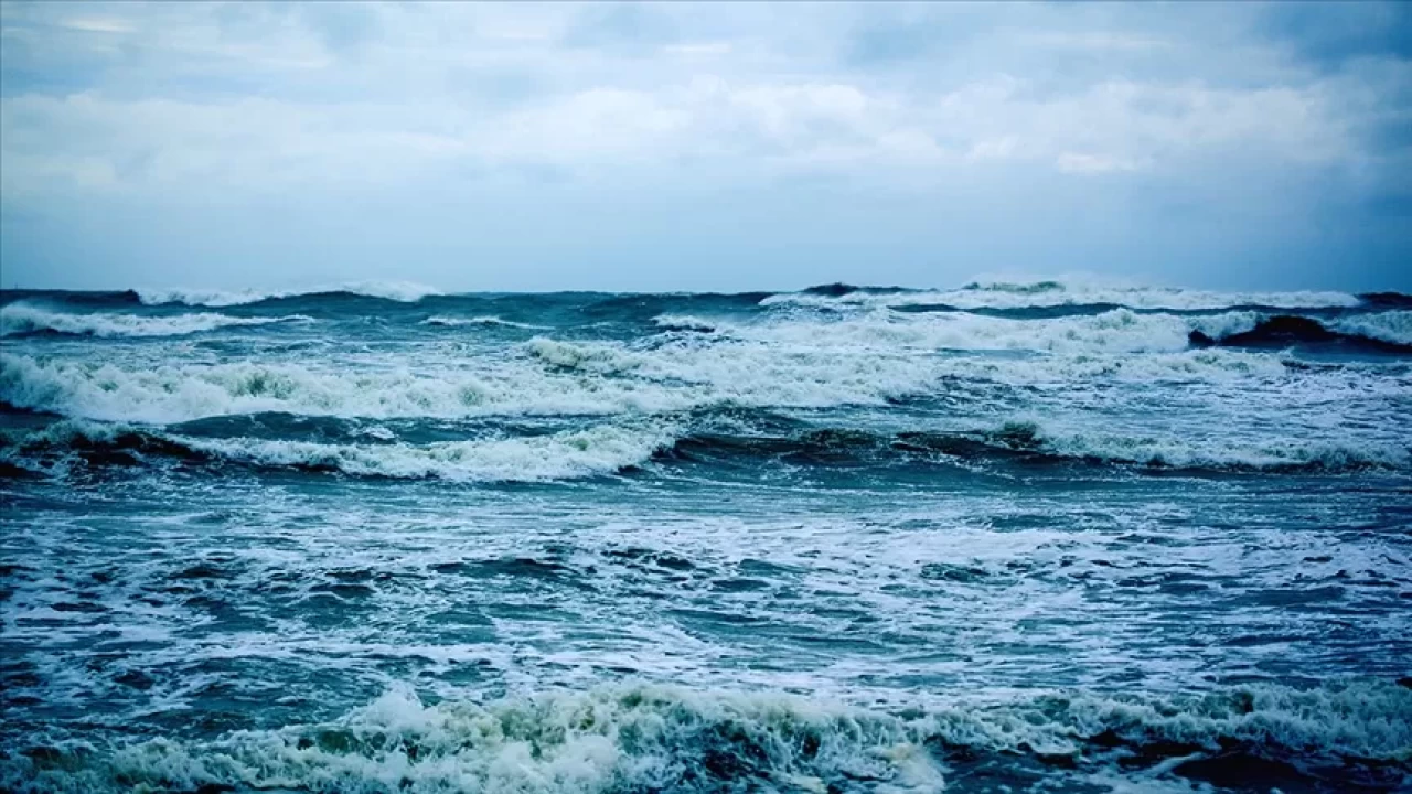 Okyanusların gizemli dünyası! Derin denizlerin bilinmeyen sırları