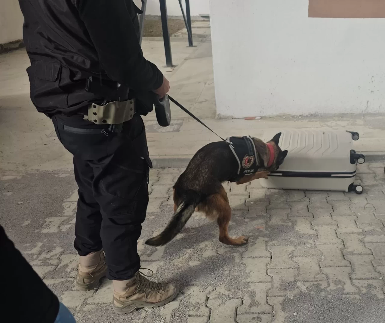 Erzincan’da yolcu otobüsünde 6 bin 335 uyuşturucu hap ele geçirildi
