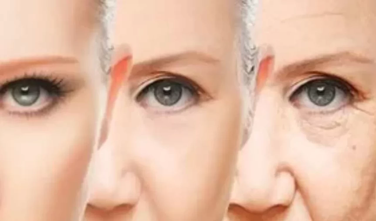 Antioksidan zengini mango cildi gençleştiriyor