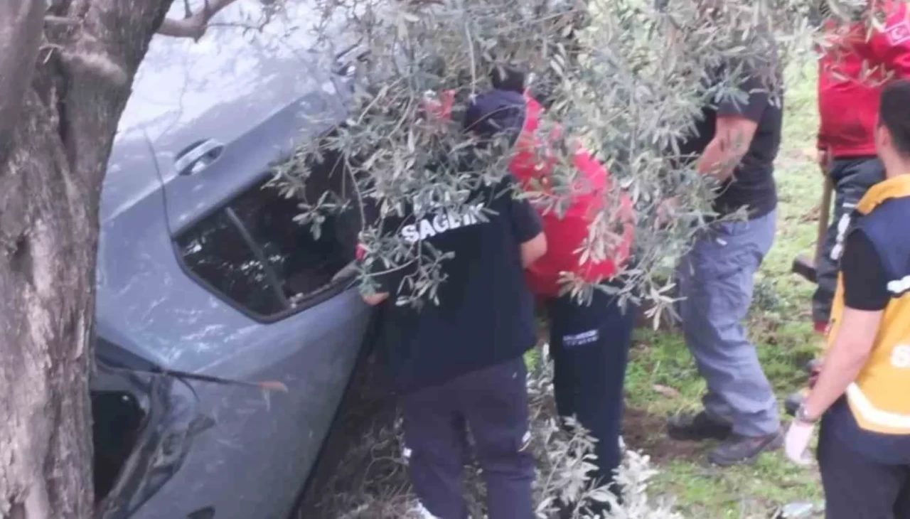 Otomobil zeytin bahçesine uçtu: 2 kişi yaralandı