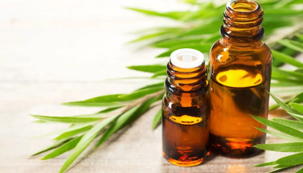 Çay ağacı yağının mucizelerine inanamayacaksınız! O sorunu kökten çözüyor.