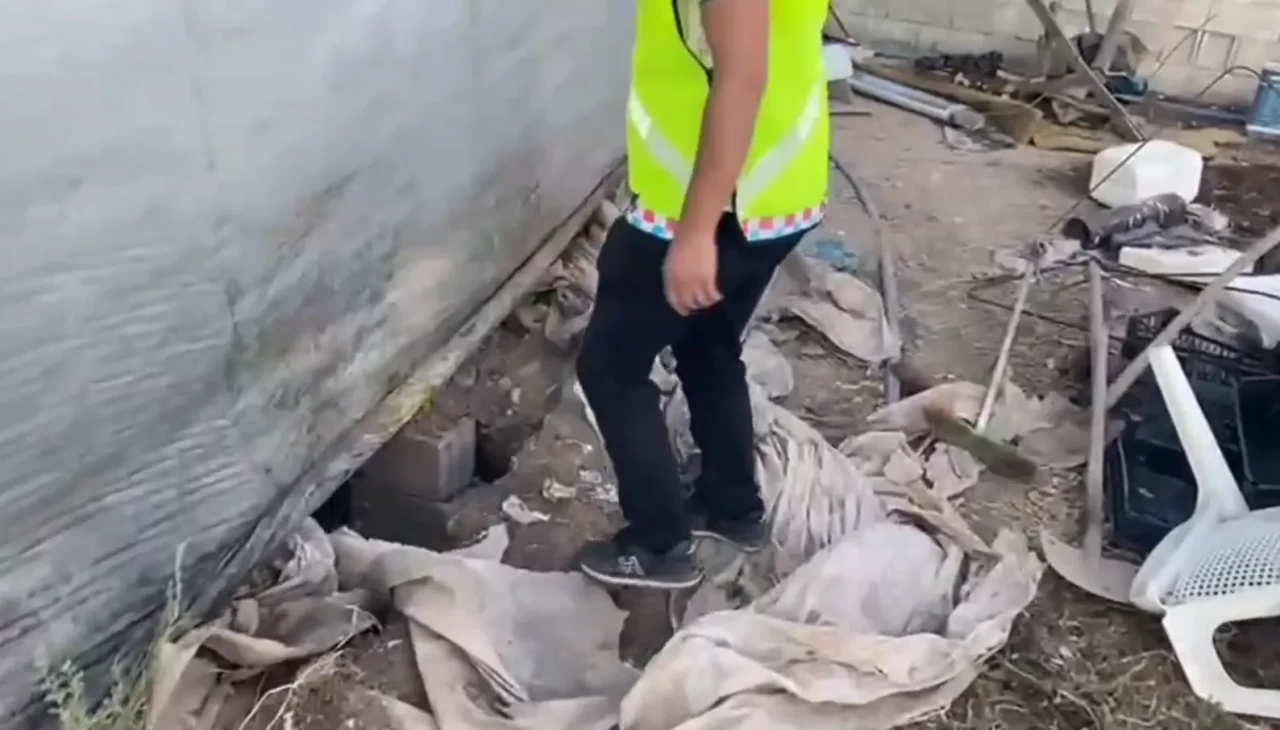 Mardin’de 1500 yıllık taban mozaiği ele geçirildi: Üzeri betonla kapatılmış!