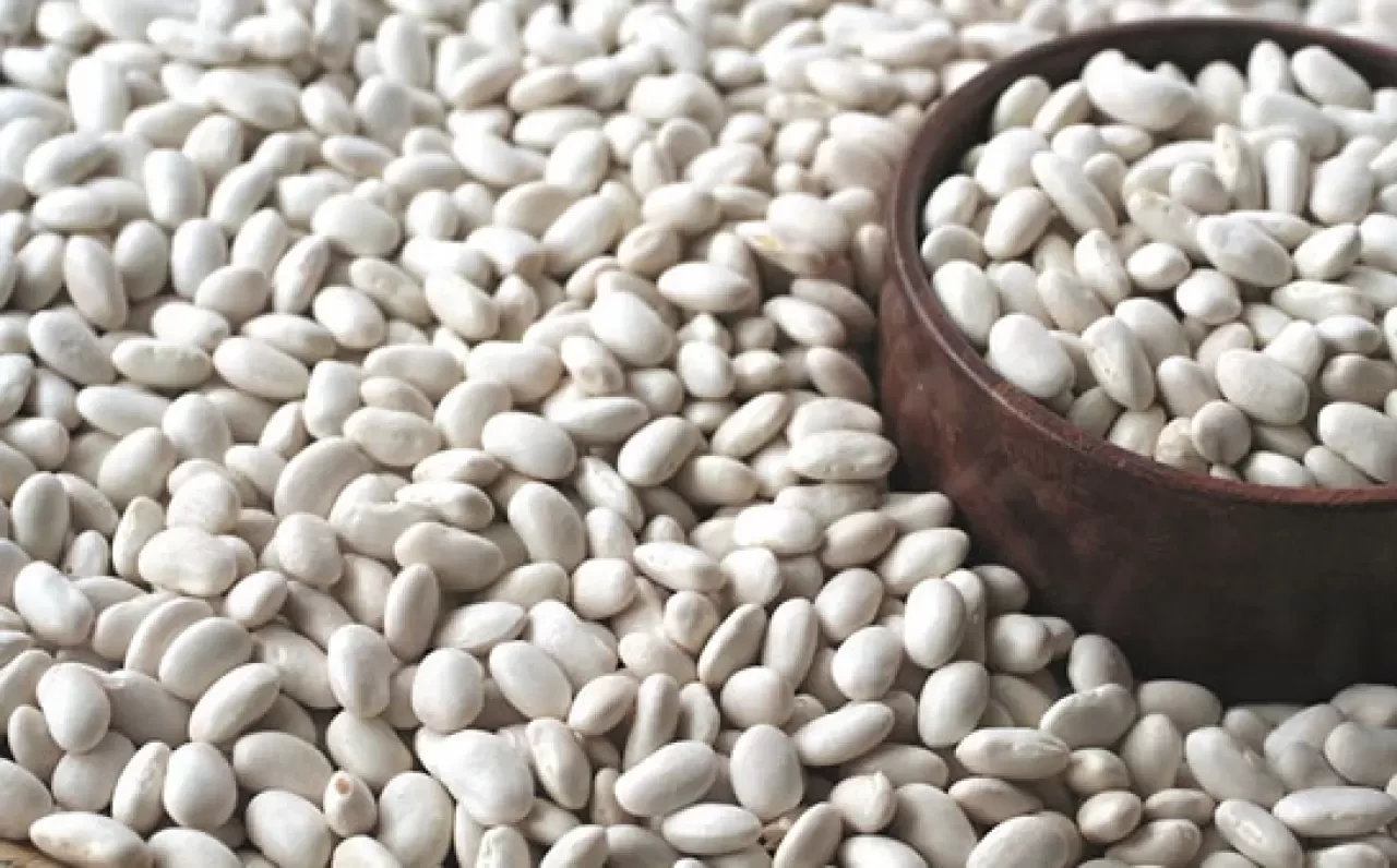 Fasulye Nasıl Islatılır? Püf Noktaları ve Pratik Yöntemler