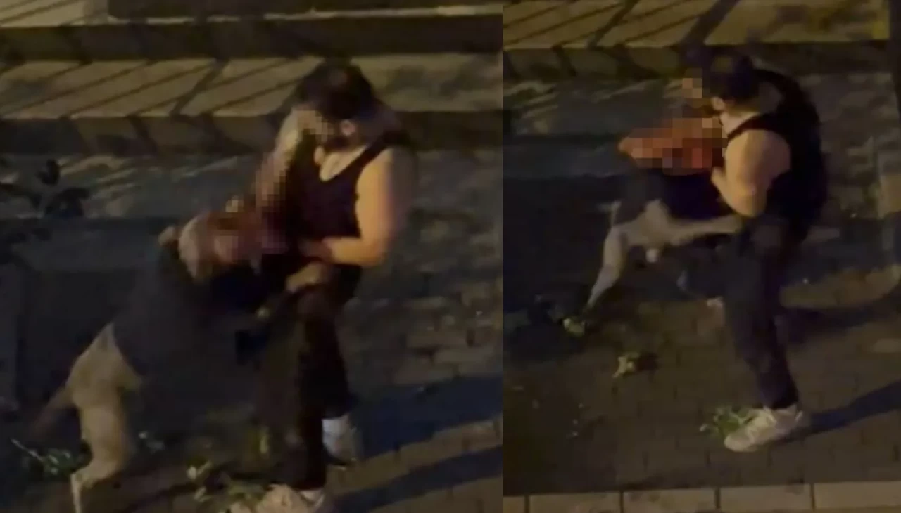 Bahçelievler’de pitbull cinsi köpek sahibine saldırdı! Dehşet anları kamerada