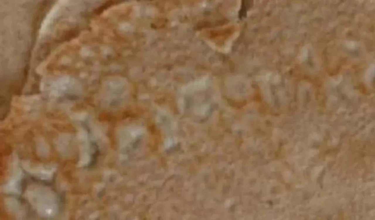 Klasik krepe fit dokunuş! Tam buğday unlu krep nasıl yapılır?