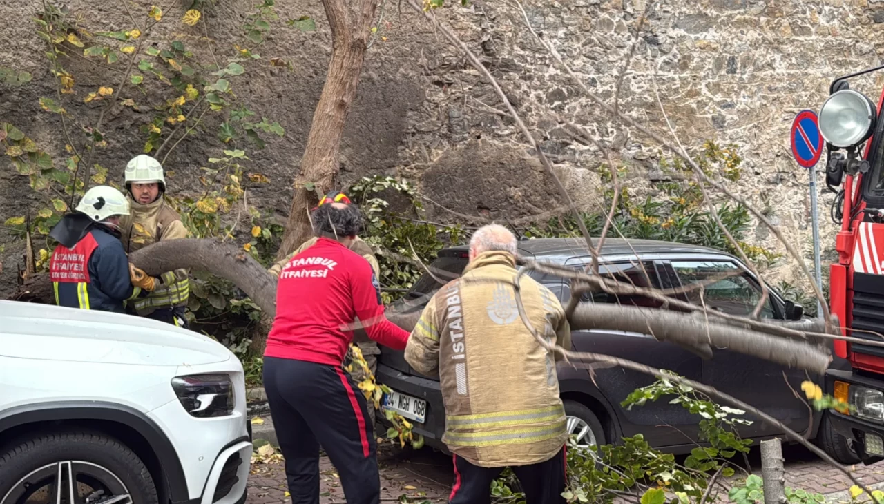 İstanbul’da şiddetli rüzgar etkili oldu: Ağaçlar ve direkler araçların üstüne devrildi