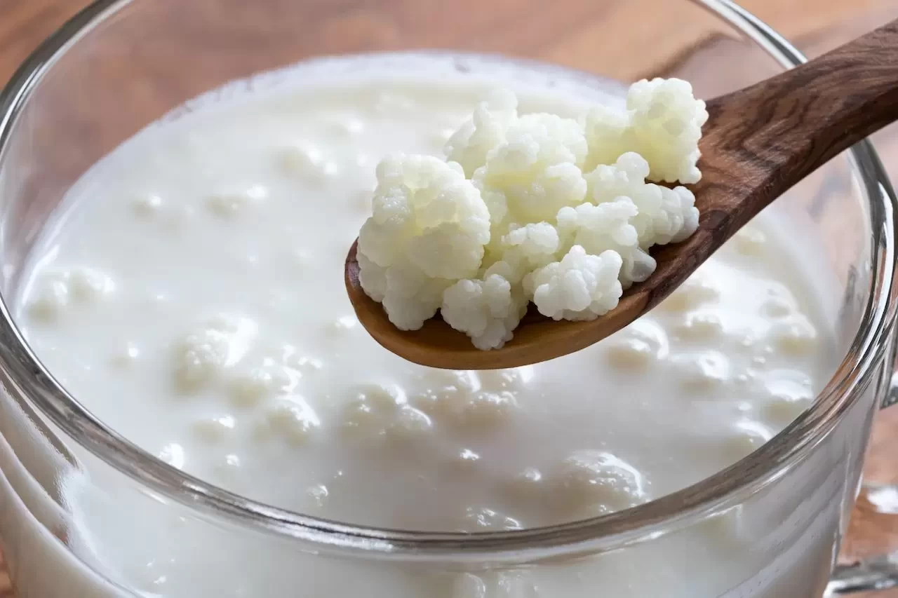 Kefir Kaç Kalori? Sade ve Meyveli Kefir Besin Değerleri