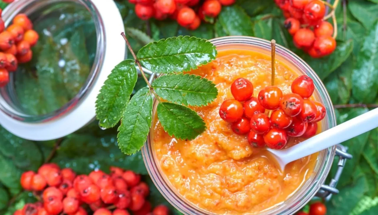 İki yılda bir yetişiyor, çürüyünce yeniyor! Üvez meyvesinin sağlığa faydaları şaşırtıyor