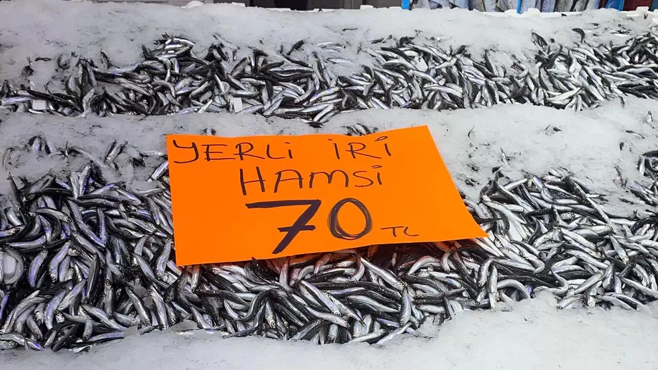 Ordu'da hamsi bolluğu: Kilosu 70 liraya düştü