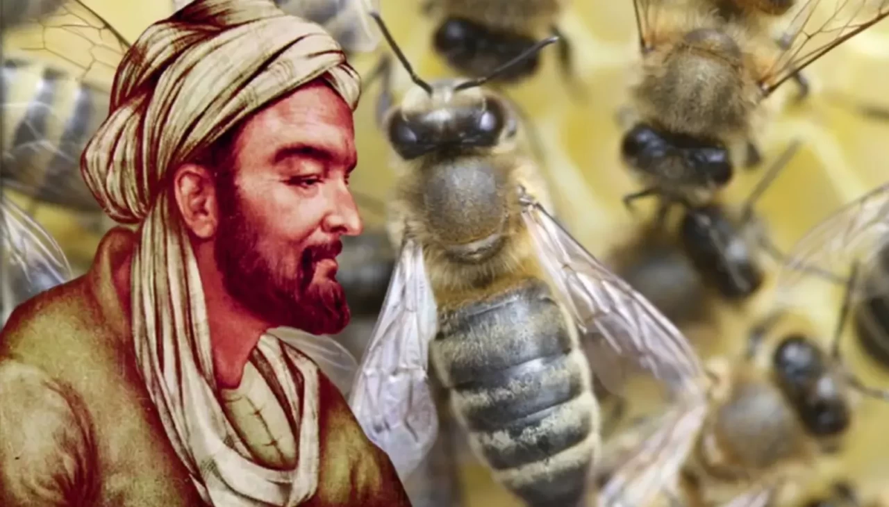 Arı sokması öldürür mü? İbn-i Sinadan Arı Sokmasına Karşı En Etkili 3 Yöntem
