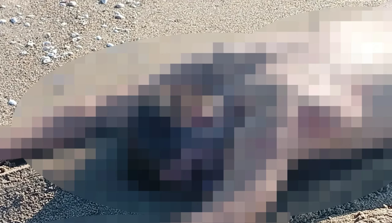 Sakarya'da kumsalda çıplak erkek cesedi bulundu