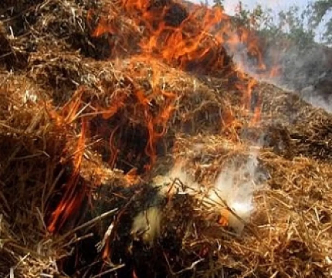 Konya Seydişehir’de samanlık yangını: 2 kişi yaralandı