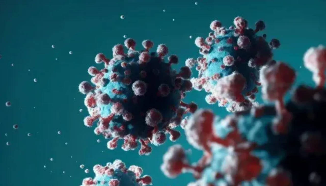 Kuş gribi kabusu geri döndü! Almanya’da 400 bin hayvan itlaf edildi