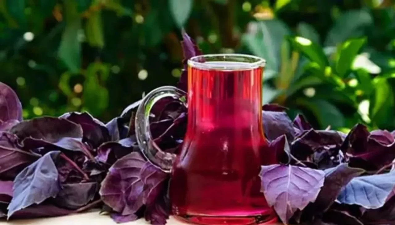 Cildin canlılığı için doğal ikili! Reyhan buz küpleriyle güzelleşin